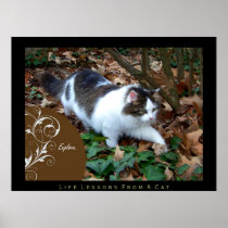 Explore Life Lessons From a Cat Fine Art Print
