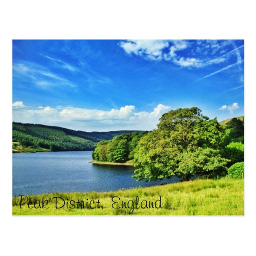 Explore Nature! Postcard | Zazzle