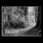 Explore Postcard postcards