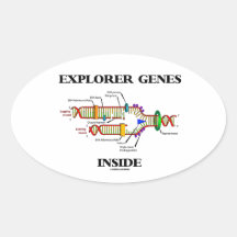 Explorer Genes Inside (DNA Replication) Oval Sticker