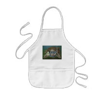 Exploring Aprons