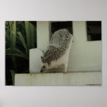 exploring hh poster