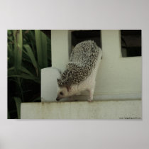 exploring hh poster