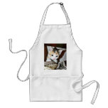 Exploring Kitten Apron