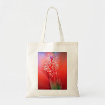 Explosion Canvas Bag