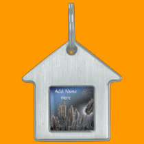 Expose Feelings-Blue_Pet Tag pet tags