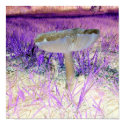 Exposed Effect Mushroom Poster posters