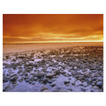 Exposed reef, low tide, Baja, California flyers