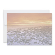 Exposed reef, low tide, Baja, California Custom Announcement