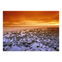 Exposed reef, low tide, Baja, California Personalized Invite