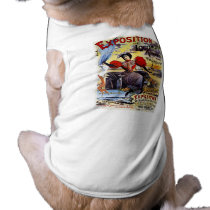 Exposition de Locomotion 1895 - Paris - Vintage Pet Clothing