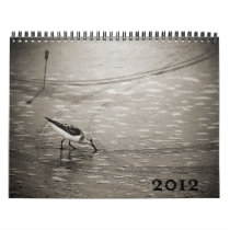 Exposures 2012 Wall Calendar