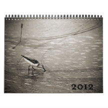 Exposures 2012 Wall Calendar