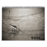 Exposures 2012 Wall Calendar
