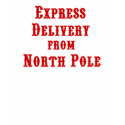 Express Delivery from North Pole t-shirts by Just2Cute Express Delivery from North Pole t-shirts