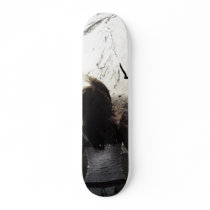 Express skateboards