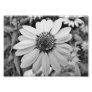 Expressions 5x7 Photographic Print