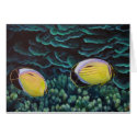 exquisite butterfly fish in coral cards by oceanart exquisite butterfly fish in coral cards