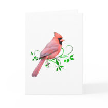Exquisite Cardinal
