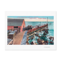 Exterior View of Del Monte Sardine Packing Postcard