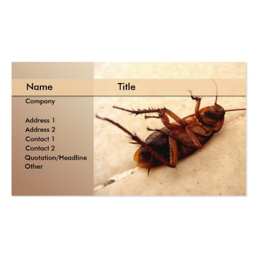 exterminator business card template (front side)