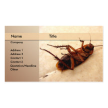 exterminator business card template