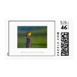 Externalize, Externalize, Externalize postage
