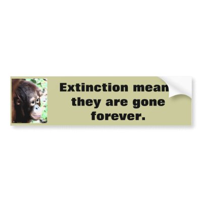 Extinction Wildlife bumper sticker by Rebecca_Reeder