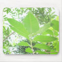 Extra Green Leaves mousepads
