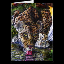 extract from alidas garden cards