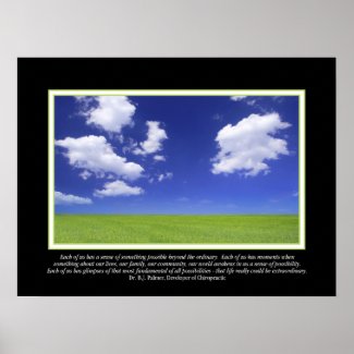 Extraordinary Life Palmer Quote Poster print