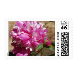 Extravagance Stamp
