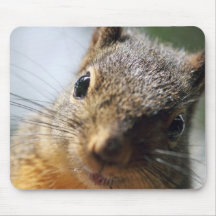 Extreme Closeup Squirrel Picture Mouse Pads