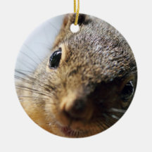 Extreme Closeup Squirrel Picture Christmas Tree Ornaments