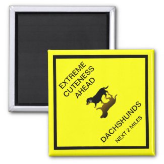 Extreme Cuteness Ahead - dachshund road sign Magnets