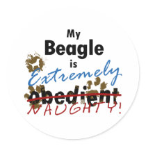 Extremely Naughty Beagle Round Stickers