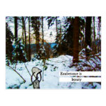 exuberance is beauty postcard