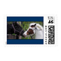 eye2eye postage stamps