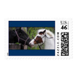 eye2eye postage stamps