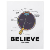 Eye Believe (Anatomical Humor) flyers
