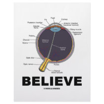 Eye Believe (Anatomical Humor) Letterhead