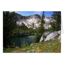 Eye Candy Postcard by PhotoJunkyGeno Eye Candy Postcard