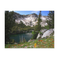 Eye Candy Postcard by PhotoJunkyGeno Eye Candy Postcard