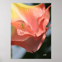Eye Level Posters