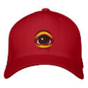 Eye Lidz - Embroidered Flex Fit Hat embroidered hats