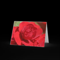 Eye Luv U! Greeting Card