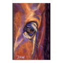 Eye of a Thoroughbred posters