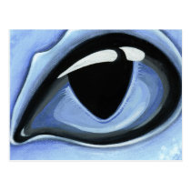 Eye Of Baby Blue postcards