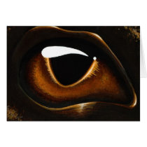 Eye Of Baby Bronze cards