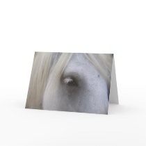 Eye of Fell Pony cards by shannonalbert30 Eye of Fell Pony cards